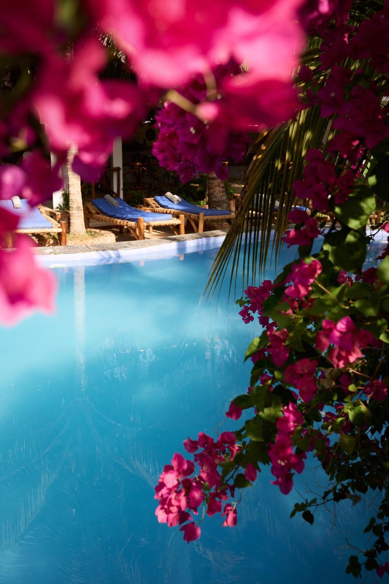 Hotel African