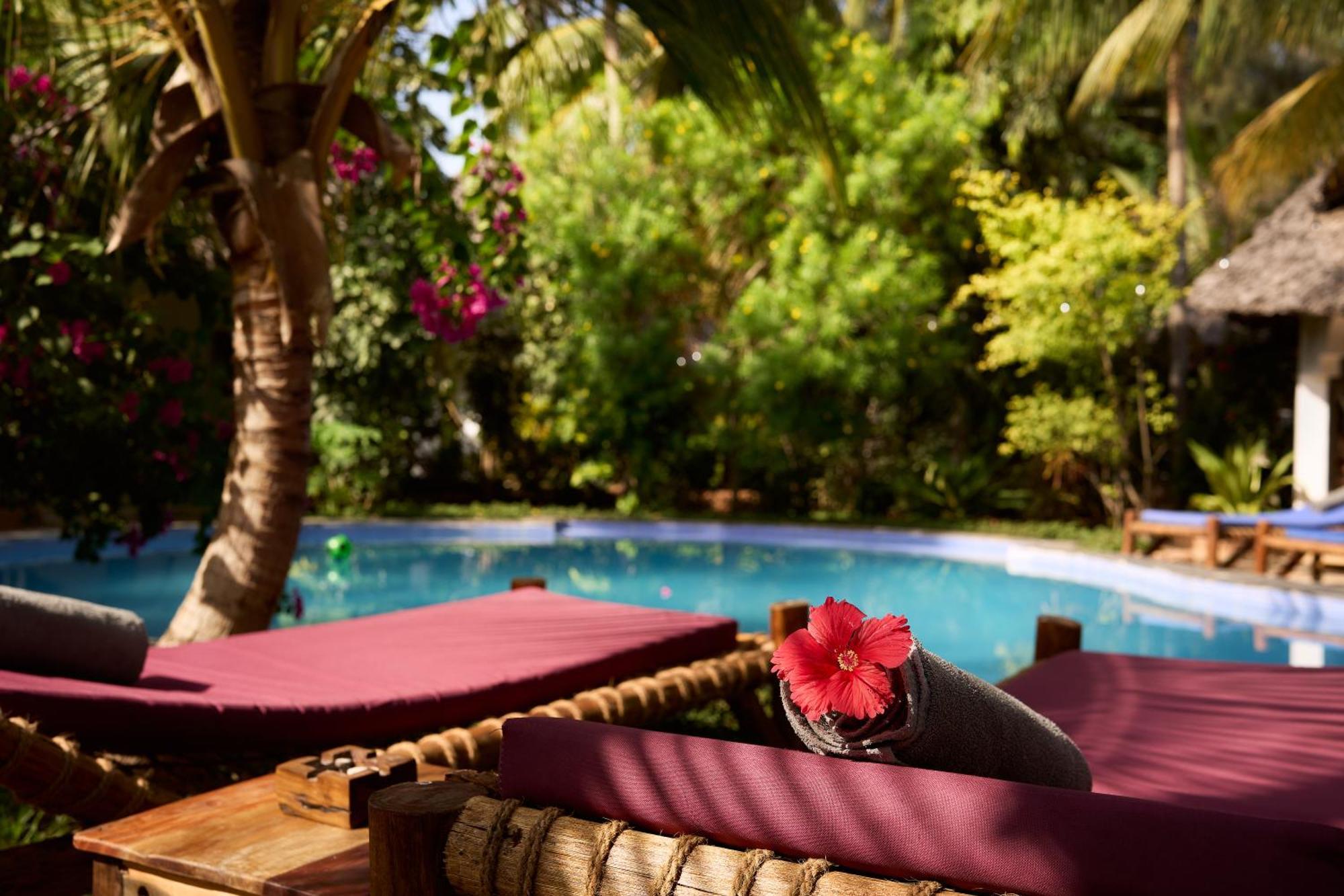 African Hotel Nungwi